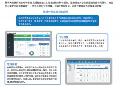 出入数据分析系统